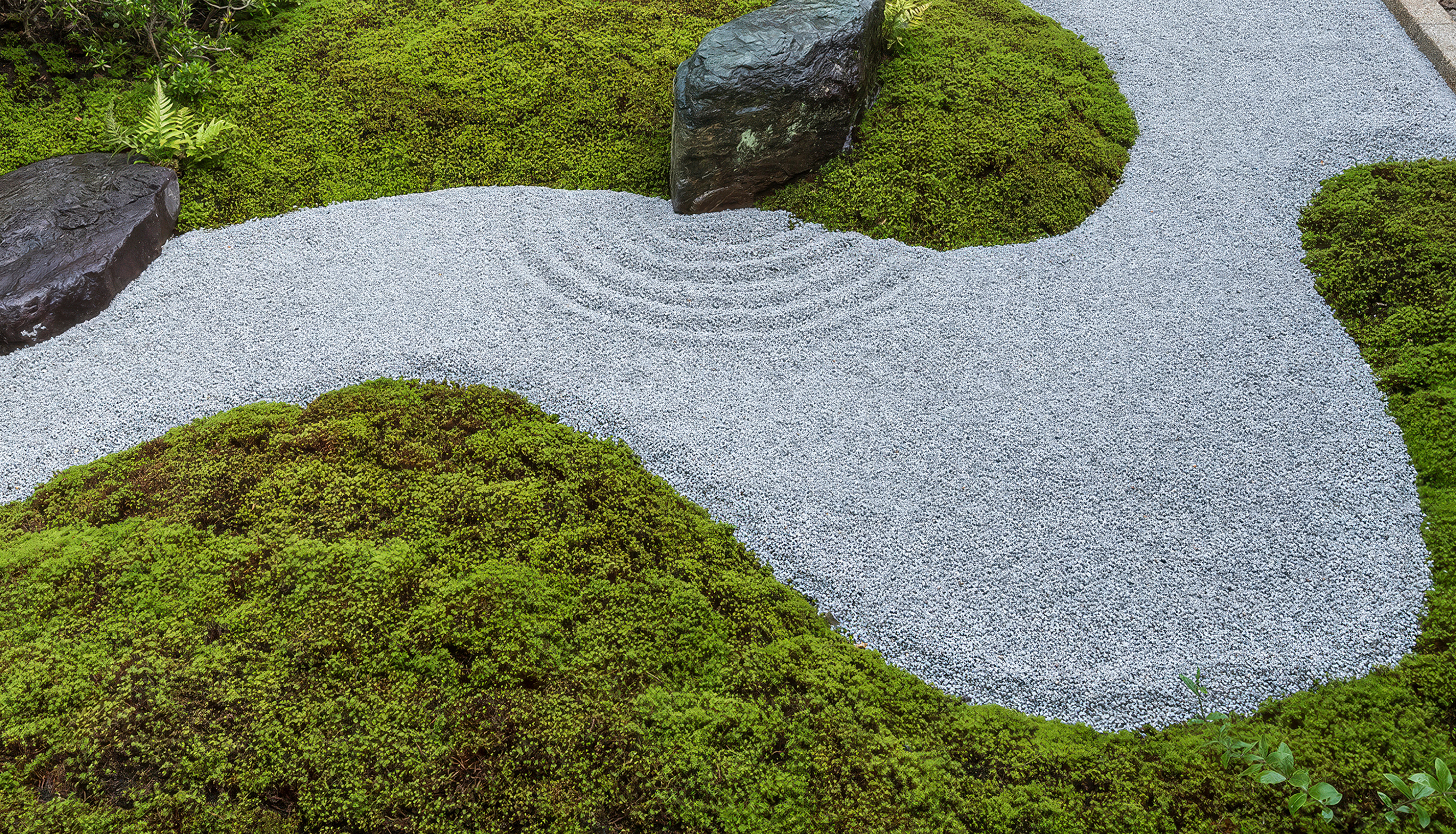 Japanese Garden